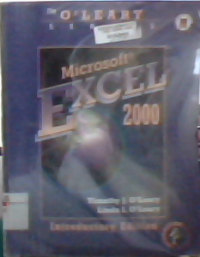 Microsoft Excel 2000