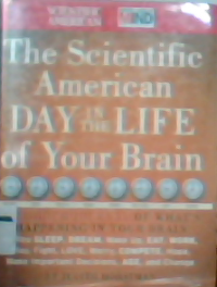 The Scientific American Day in the Life of your brain