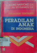 Tinjauan Tentang Peradilan Anak Di Indonesia