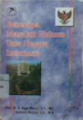 Beberapa masalah hukum tata negara Indonesia