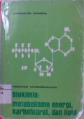 Biokimia: metabolisme energi, karbohidrat, dan lipid