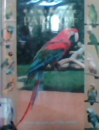 The ultimate parrot